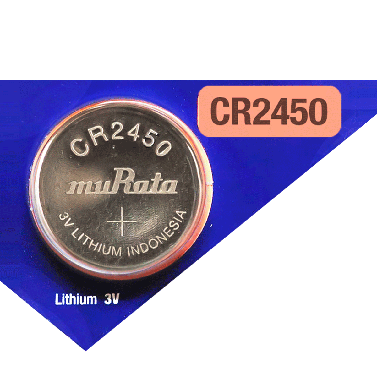100 pcs CR2450 2450 LM2450 BR2450 Card 3V Lithium Battery